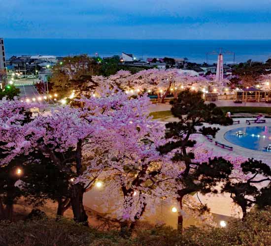 Hakodate-Night-view-500x500