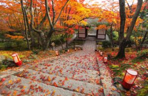 Jojakkoji temple in Sagano Kyoto