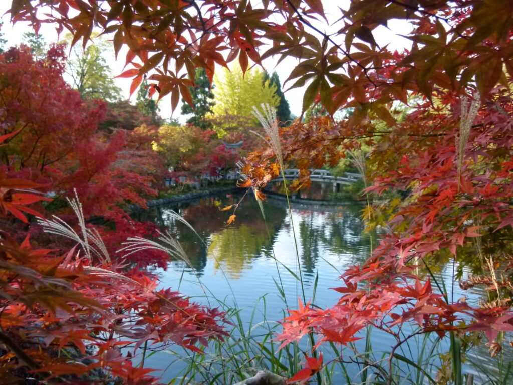 autumn Eikan do